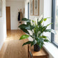 Spathiphyllum artificial - Big-Luna | 73 cm