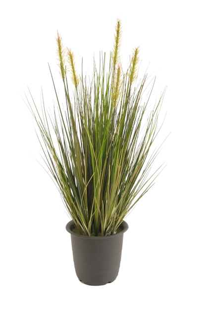 Hochwertiges Kunstgras auf transparentem Hintergrund mit echt wirkenden Kunstblättern in natürlicher Anordnung. Künstliches Gras - Theodor hat die Farbe Natur und ist 45 cm hoch. | aplanta Kunstpflanzen