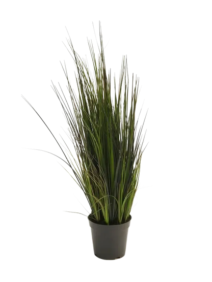 Künstliches Gras - Hanno, 60 cm, Kunstpflanze von aplanta, im schwarzen Topf, in Natur, für drinnen