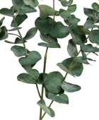 Rama de eucalipto artificial - Coca | 115 cm
