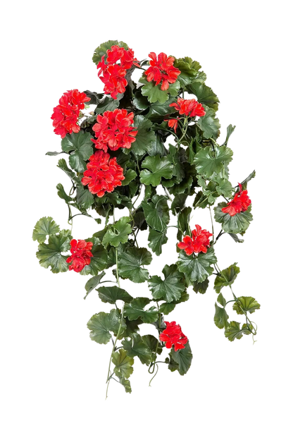 Künstliche Hängegeranie - Draco, 66 cm, Kunstblume von aplanta, UV-beständig, Steckpflanze, in Rot, für draußen