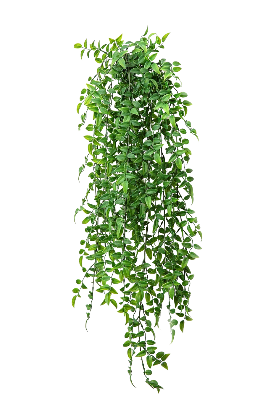 Künstlicher Mäusedorn - Dima | 70 cm