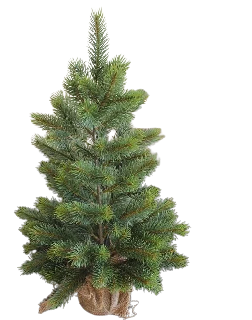 Künstlicher Weihnachtsbaum - Robin | 48 cm