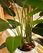 Künstliche Strelitzia - Josephine | 190 cm