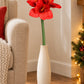 Künstliche Amaryllis – Alva | 70 cm