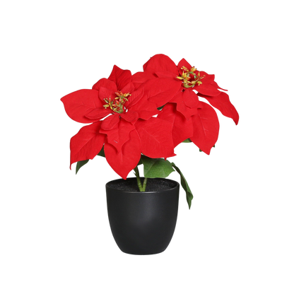 Poinsettia artificial - Cady | 37 cm, en maceta