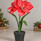 Künstliche Amaryllis – Elvina | 43 cm Rot