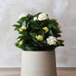 Blumentopf - Talco, 41x38cm, Pflanzkübel von aplanta, in Beige
