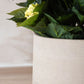 Blumentopf - Talco, 41x38cm, Pflanzkübel von aplanta, in Beige