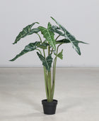 Künstliche Alocasia - Claudi | 130 cm