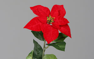 Künstliche Poinsettia - Pinie | 55 cm