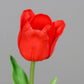 Künstliche Tulpe - Merry, 60 cm, Kunstblume von aplanta, Real Touch, in Rot, für drinnen & draußen