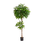 Künstliche Glückskastanie - Owen auf transparentem Hintergrund mit echt wirkenden Kunstblättern in natürlicher Anordnung. Künstliche Glückskastanie - Owen hat die Farbe Grün und ist 180 cm hoch. | aplanta Kunstpflanzen