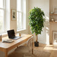 Künstliche Schefflera - Ove, 172 cm, Kunstbaum von aplanta, mit Echtholzstamm, in Natur, für drinnen