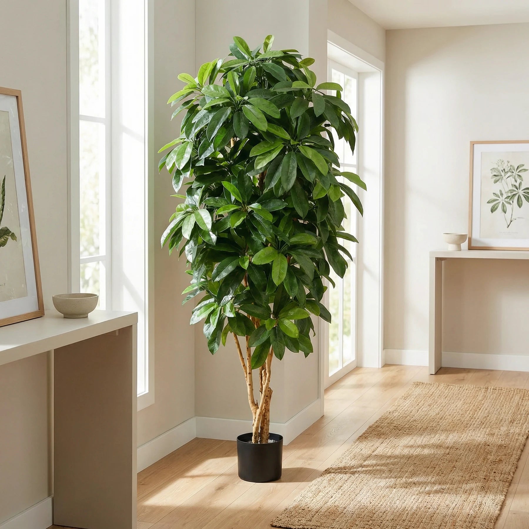 Künstliche Schefflera - Ove, 172 cm, Kunstbaum von aplanta, mit Echtholzstamm, in Natur, für drinnen