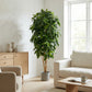 Künstliche Schefflera - Ove, 172 cm, Kunstbaum von aplanta, mit Echtholzstamm, in Natur, für drinnen