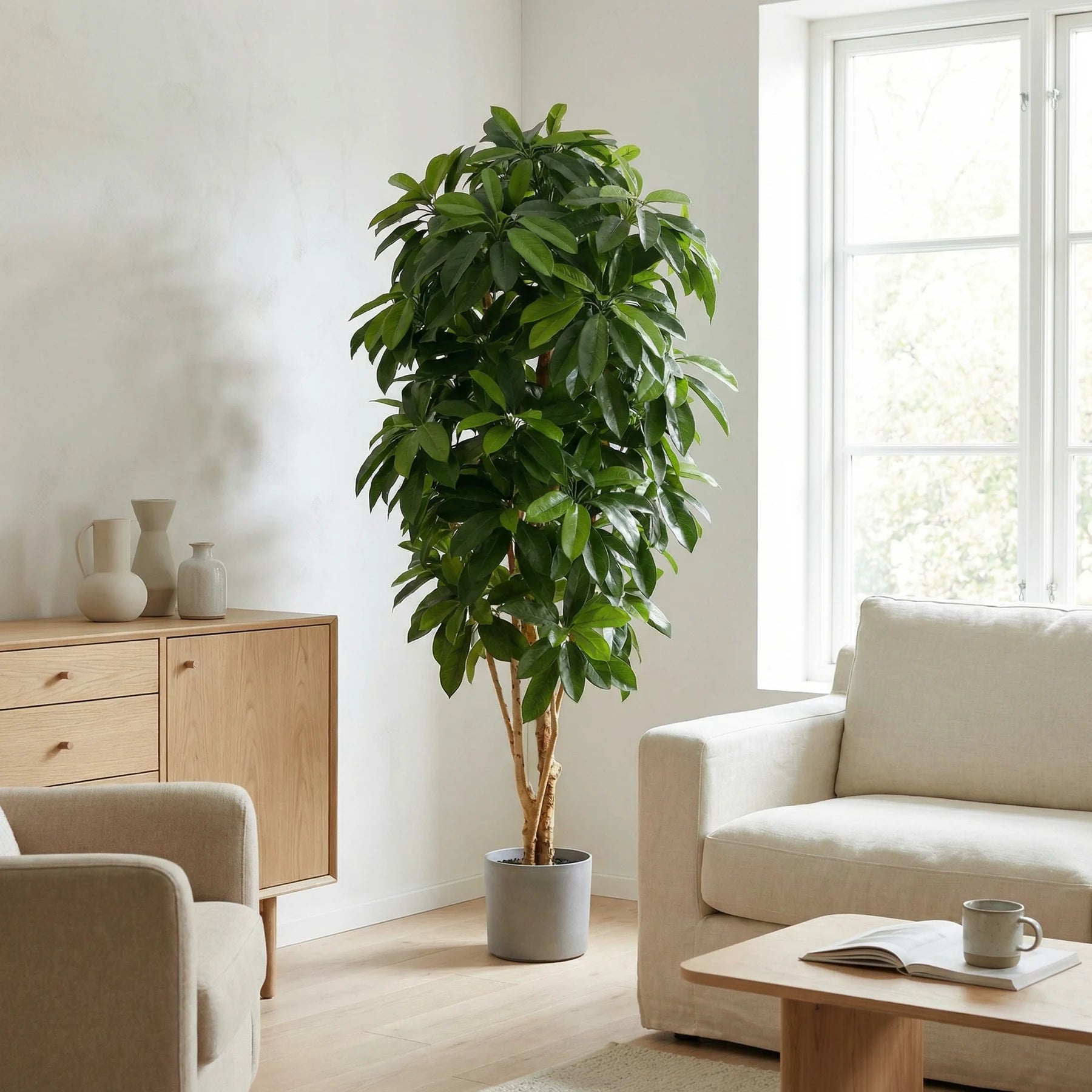 Künstliche Schefflera - Ove, 172 cm, Kunstbaum von aplanta, mit Echtholzstamm, in Natur, für drinnen