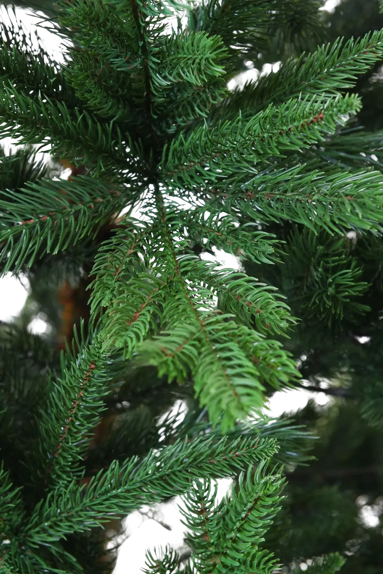Árbol de Navidad artificial - Lucian | 270 cm