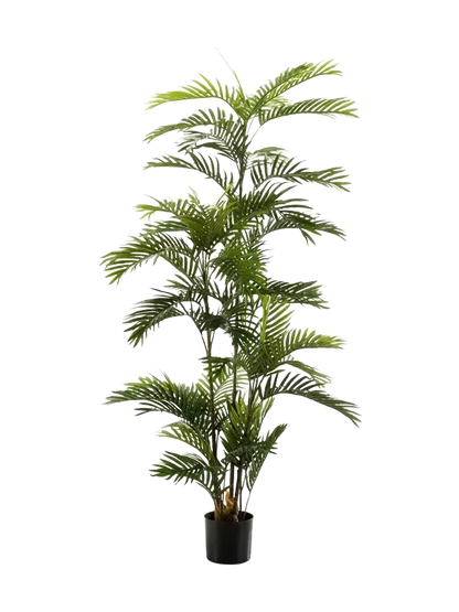Hochwertige Kunstpalme auf transparentem Hintergrund mit echt wirkenden Kunstblättern in natürlicher Anordnung. Künstliche Phoenix Palme - Kira hat die Farbe Natur und ist 180 cm hoch. | aplanta Kunstpflanzen