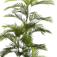 Künstliche Phoenix Palme - Kira | 195 cm auf transparentem Hintergrund, als Ausschnitt fotografiert, damit die Details der Kunstpflanze bzw. des Kunstbaums noch deutlicher zu erkennen sind.