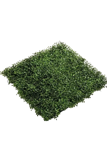 Künstliche Buchsbaum Matte - Nick auf transparentem Hintergrund mit echt wirkenden Kunstblättern. Diese Kunstpflanze gehört zur Gattung/Familie der "Buchsbäume" bzw. "Kunst-Buchsbäume".