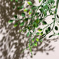 Künstlicher Hänge-Jasmin - Levin, 80 cm, Kunstpflanze von aplanta, Steckpflanze, in Natur, für drinnen