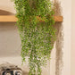 Künstlicher Hänge-Jasmin - Levin, 80 cm, Kunstpflanze von aplanta, Steckpflanze, in Natur, für drinnen