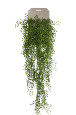 Künstlicher Hänge-Jasmin - Levin, 80 cm, Kunstpflanze von aplanta, Steckpflanze, in Natur, für drinnen