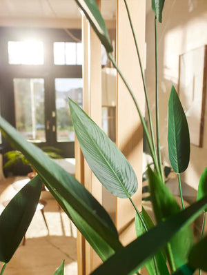 Künstliche Helikonie – Azariel | 140 cm