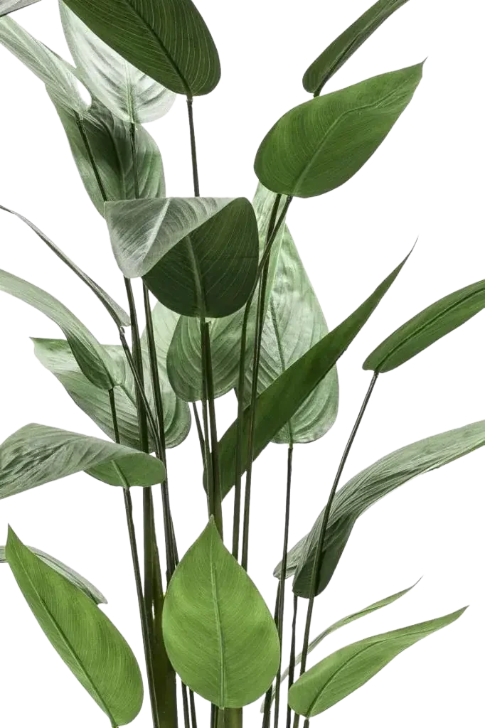 Künstliche Helikonie – Azariel | 140 cm