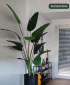 Künstliche Strelitzia - Josephine | 230 cm