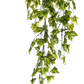 Künstlicher Hänge-Efeu - Kenan | 75 cm auf transparentem Hintergrund, als Ausschnitt fotografiert, damit die Details der Kunstpflanze bzw. des Kunstbaums noch deutlicher zu erkennen sind.
