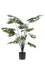 Hochwertige Monstera Kunstpflanze auf transparentem Hintergrund mit echt wirkenden Kunstblättern in natürlicher Anordnung. Künstliche Monstera - Karl hat die Farbe Natur und hat eine Höhe von 80 cm | aplanta Kunstpflanzen