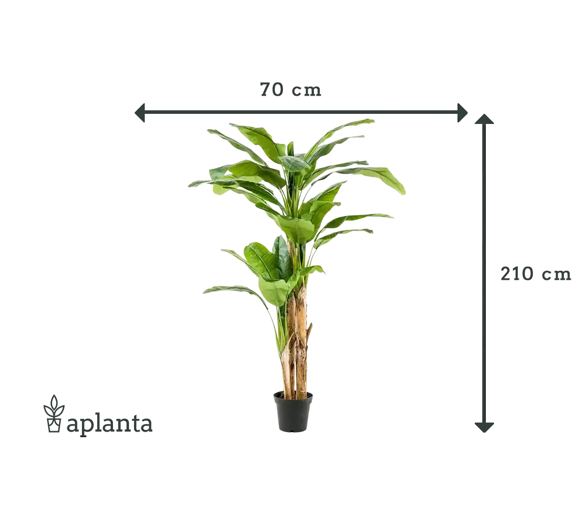 Künstlicher Bananenbaum - Can | 210 cm