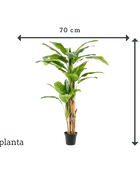 Künstlicher Bananenbaum - Can | 210 cm