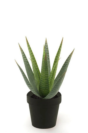 Aloe artificial - Patricia | 23 cm