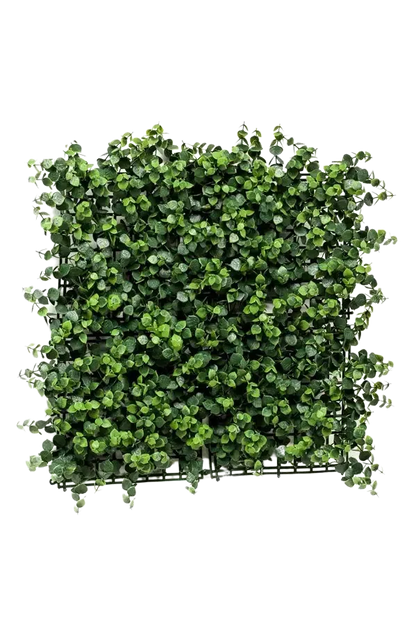 Hochwertiger Eukalyptus künstlich auf transparentem Hintergrund mit echt wirkenden Kunstblättern in natürlicher Anordnung. Künstliche Eucalyptus Matte - Nils hat die Farbe Natur und ist 5 cm hoch. | aplanta Kunstpflanzen