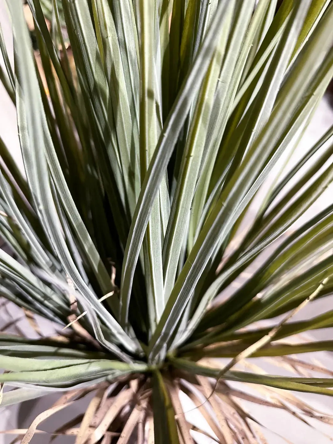 Künstliche Yucca Palme - Kristina | 110 cm | Kunstbaum von aplanta