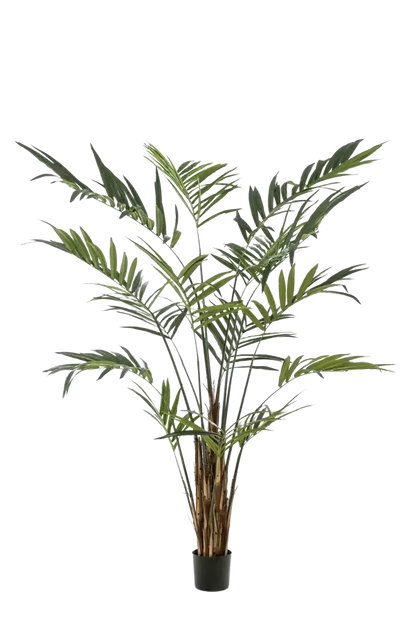 Künstliche Areca Palme - Isaiah, 270 cm, Kunstbaum von aplanta, im schwarzen Topf, in Natur, für drinnen
