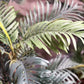 Künstliche Phoenix Palme - Kira, 90 cm, Kunstbaum von aplanta, im schwarzen Topf, in Natur, für drinnen