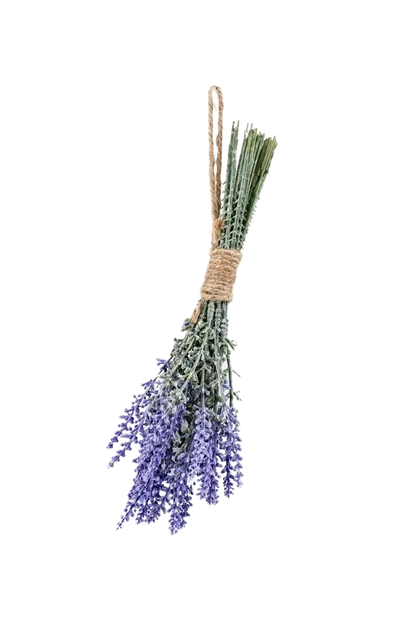 Künstlicher Lavendel Bund - Octan auf transparentem Hintergrund mit echt wirkenden Kunstblättern in natürlicher Anordnung. Künstlicher Lavendel Bund - Octan hat die Farbe Natur und ist 24 cm hoch. | aplanta Kunstpflanzen