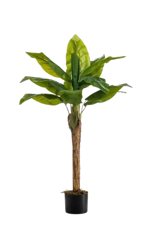 Hochwertige Kunstpflanze | Künstlicher Bananenbaum - Giro | 110 cm von 🌱aplanta