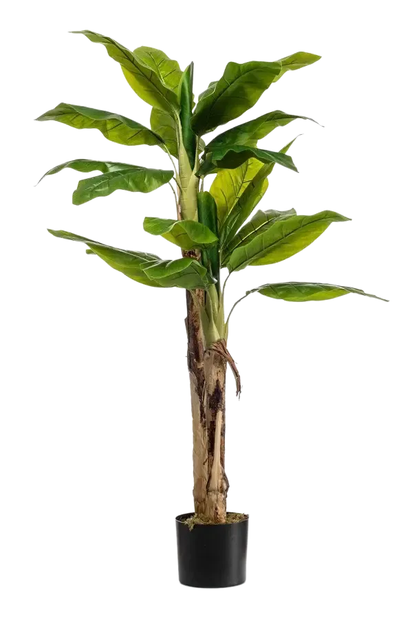 Künstlicher Bananenbaum – Maliora | 140 cm