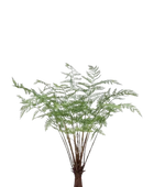 Hochwertige Kunstpflanze | Künstlicher Farn - Helmtrud | 100 cm von 🌱aplanta