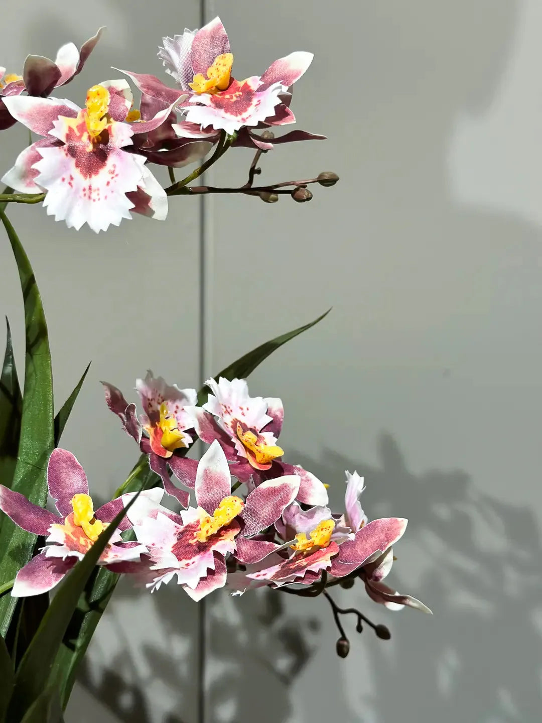 Künstliche Orchidee - Hermine | 45 cm, im Topf | Kunstblume von aplanta