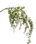 Hochwertige Kunstpflanze | Künstliche hängender Eucalyptus Zweig - Guido | 120 cm von 🌱aplanta