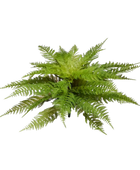 Künstlicher Frauenfarn - Talos | 55 cm