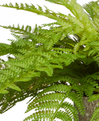 Künstlicher Frauenfarn - Talos | 55 cm