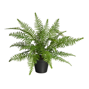 Künstlicher Schwertfarn - Grimm | 46 cm