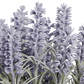 Künstlicher Lavendel - Lotte | 36 cm